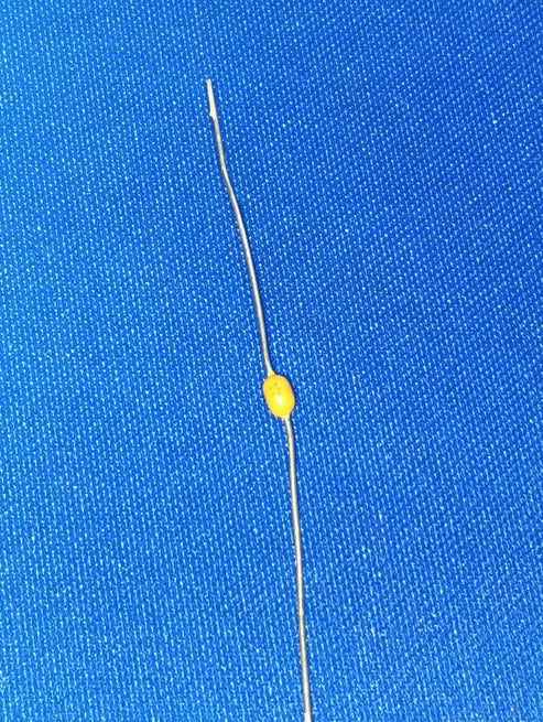 A470J15C0GH5TAA 100V 47pF C0G COG D2.5xL3.8mm Capacitors MLCC Vishay Intertech IBAT20574