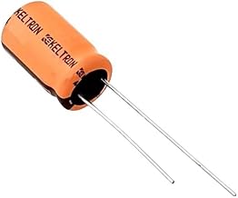 22UF 100V Electrolytic Capacitor