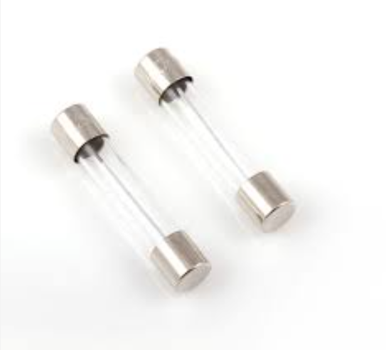 10A Fuse Glass with legs fast Blow