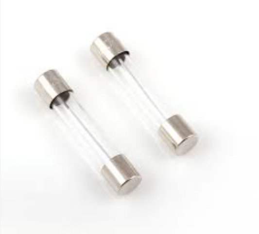 10A Fuse Glass with legs fast Blow