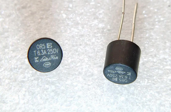 6.3A 250V AC T6.3A 250V Fuse Slow Blow Micro Time Lag type Round