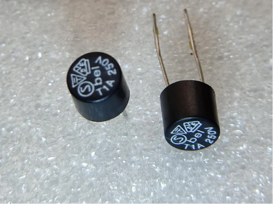 1A 250V AC T1A 250V Fuse Slow Blow Micro Time Lag type Round