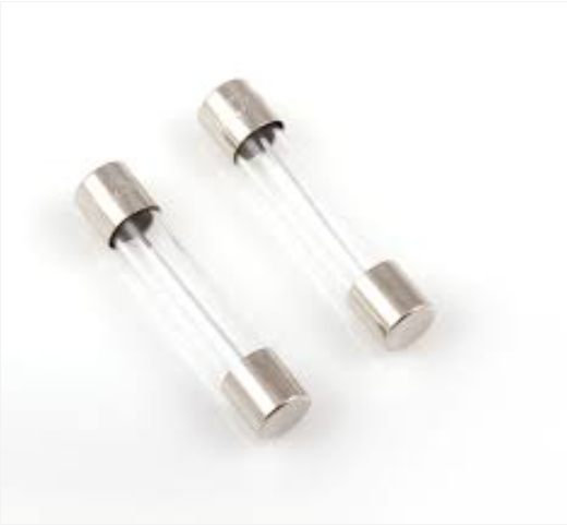 PROTECTRON 20A Fuse 5x20mm Glass Tube Fast Blow