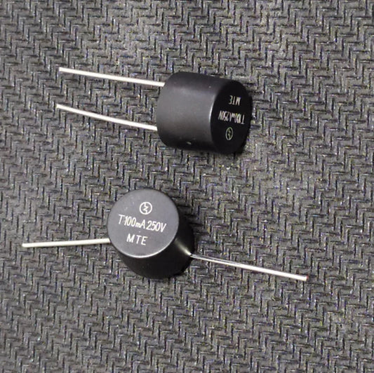 100mA 250V Fuse REOMAX Slow Blow T100mA Round